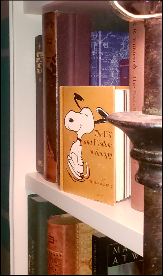 ‘If Lost, Family Photos Are The Most Missed Possessio—’ WRONG. SNOOPY SYMPOSIUM. 