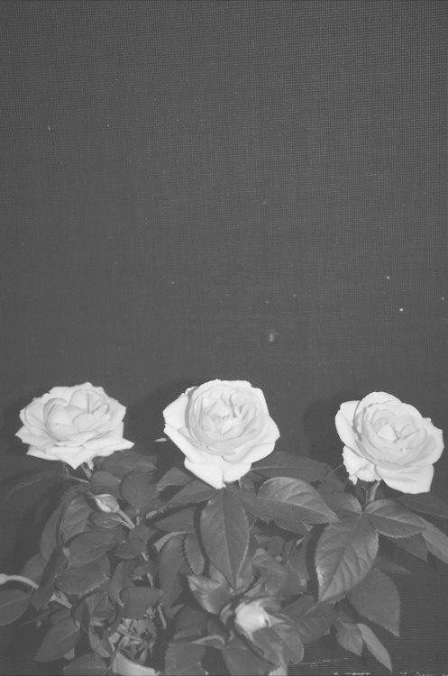 MELODRAMA