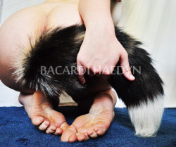 Reyariley: Bacardihaedyn: My Favorite Tail, Daddy’s Favorite Ass. Hey! It’s Me!