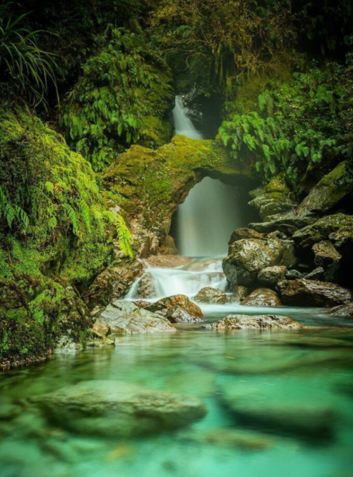 landscape-lunacy:Haast Pass, New Zealand - by Laurie Winter