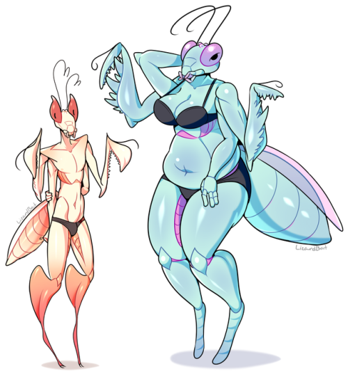 Draws of my Mantis girl! The first image being the first drawing of her, and the last is the latest!