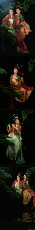 [Hanfu · 漢服]China Tang Dynasty Chinese Traditional Clothing Hanfu Photoshoots——————————Photo & S