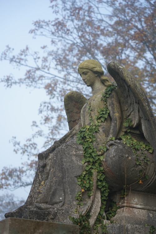 Stay with me.St Mary’s, Reigate, Surrey.