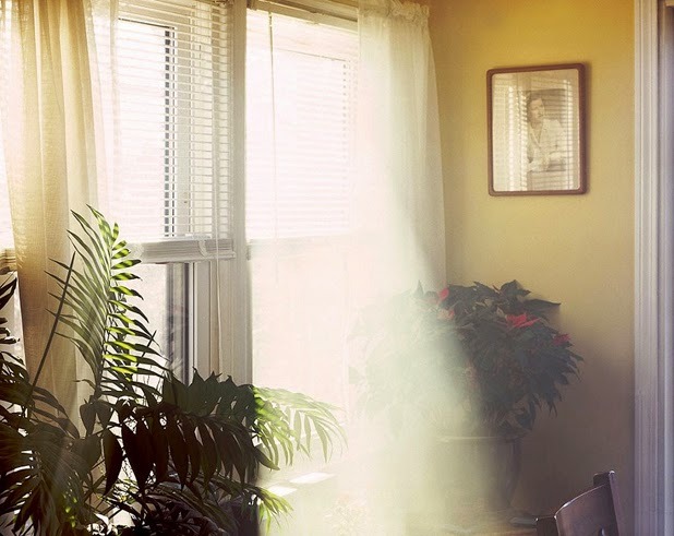 ineedaguide:  &ldquo;visible light&rdquo; series by alexander harding 