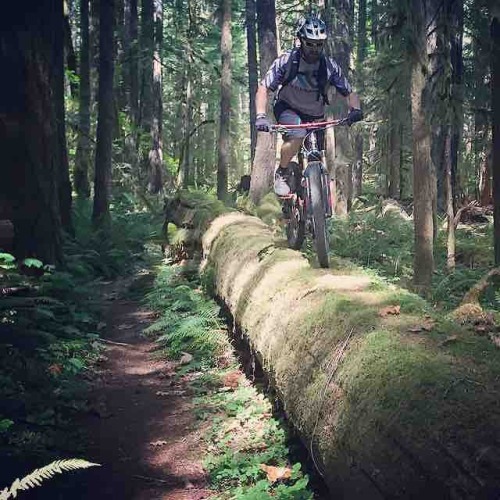 stumptownrider:  Had to get out and get the new #pushelevensix shock dialed in #cyclepathpdx #mounta