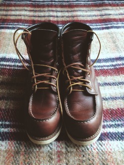 Red Wing Shoes Owners Club