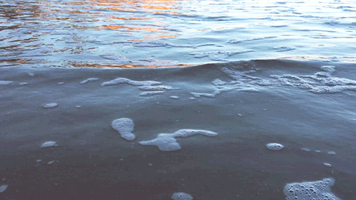 pedromgabriel:  - The Ocean in Motion -by Pedro Gabriel