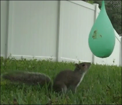 gif-guy:  http://gifini.com/ 