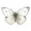 pccre