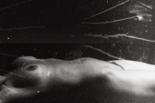 vivipiuomeno1:  Hillary Atiyeh ph.