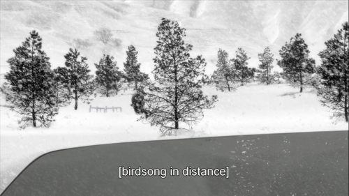 asiftethered:24 Frames (Abbas Kiarostami, 2017)