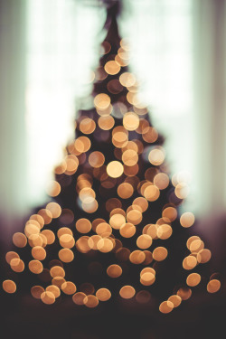 visualechoess:  Xmas Bokeh by: Javier Luces