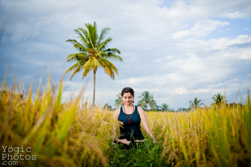 Radha Saba in Srirangapatna, Karnataka, India. SabaYoga, Dubai Christine Hewitt © yogicphotos.com