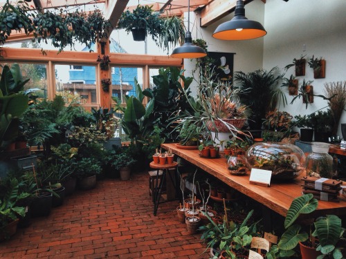 northamericanghost: Check out this sun room.