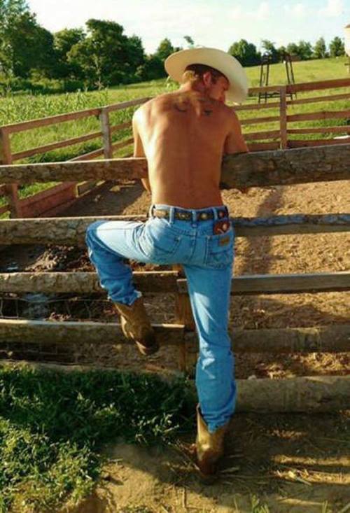 Cowboy209