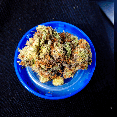 weeditaly:  3D bud