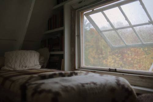 findmewherethecoldwindblows:  🌙