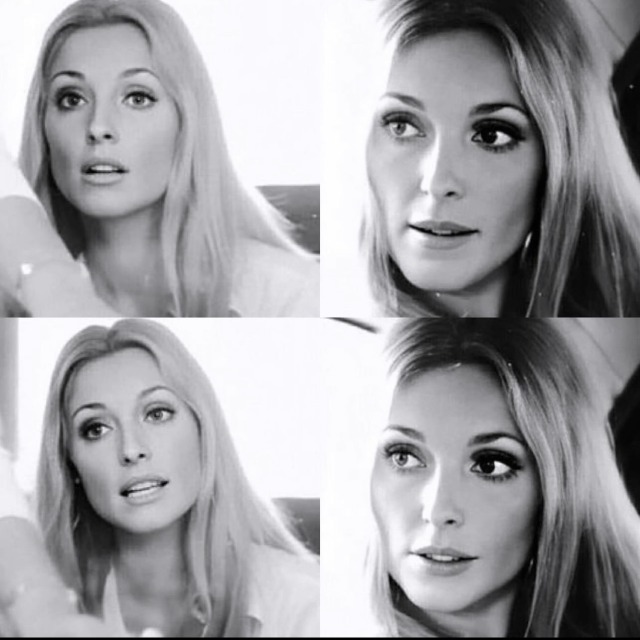 Sharon Tate photographed by Terry O'Neill in Rome, Italy, 1969🌻💐🌻
Via @polanskisharontate on Instagram💐