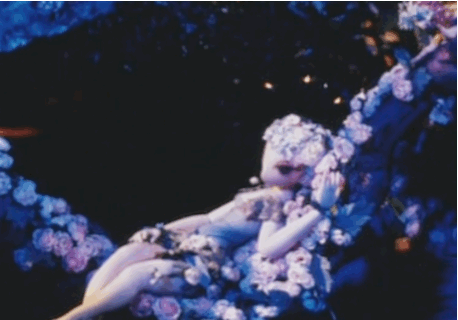 animation-appreciation-education: animated gals - Queen Titania Sen noci svatojánské (