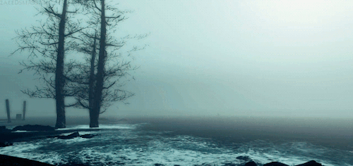 zaeedsmassani:The Fog of Far Harbor