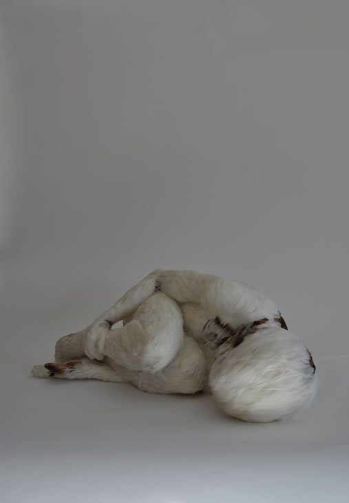 artmonia:  Lucy Glendinning – sculptor and installation artist.  WHAT THE FUCK??