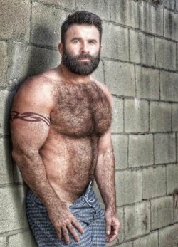 OMG - Handsome, Hairy, Muscular, Sexy - Physically