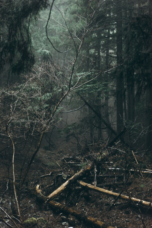 90377:  by ひとり登山(写真)部 LOG   