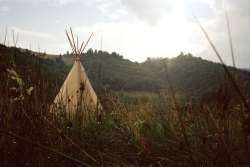 janinebaechle:  Rainbow Romania, August 2014 