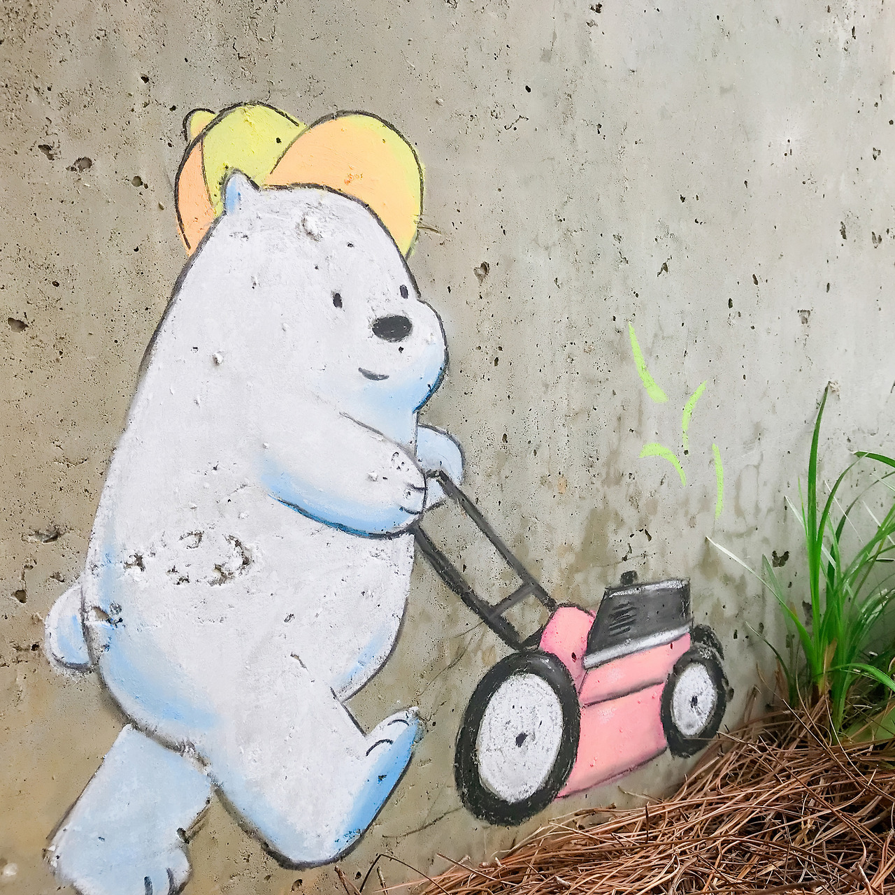 Ice Bear&rsquo;s lawn mowing service is off to a good start 