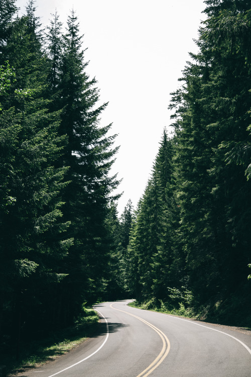 Through The Forest.