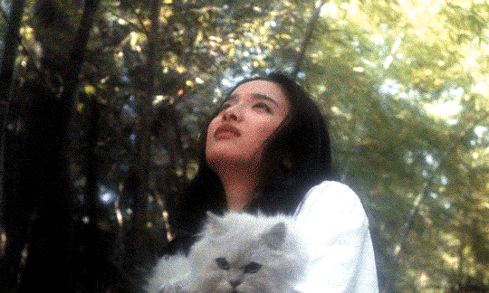 cinemaspam: The girls will wake up… when they are hungry.Hausu (ハウス) 1977,
