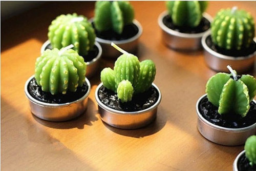 wickedclothes:Succulent Cactus CandlesCute little cactus plants that you never have to take care of!