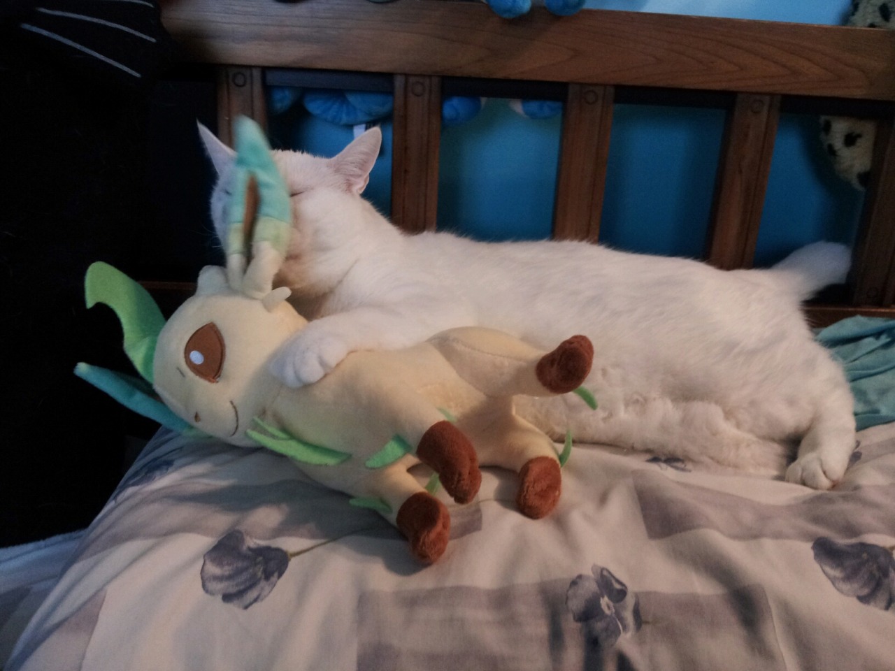 pokemonpalooza:  Just in case you have had a bad day and need photos of a cat cuddling