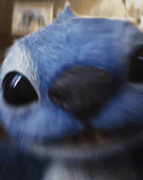 Stitch Selfie | Lilo & Stitch (2025) 