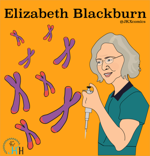 jkxcomics:Nobel Laureate Elizabeth Blackburn is a pioneer in telomere biology. Organisms store their