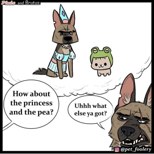 Sex catchymemes: New Pixie and Brutus comic @pet_foolery pictures