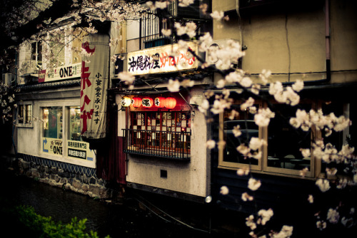 a-japaneseworld: Streamside restaurant in Kyoto by Morten Legarth on Flickr.