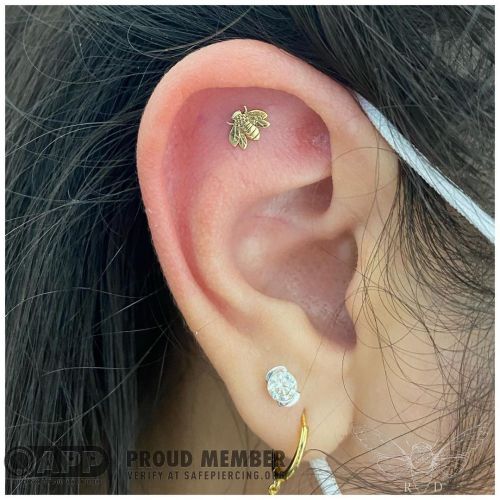 Just the cutest little yellow gold bee for this flat/ helix piercing!  Jewelry is from @leroifinejew