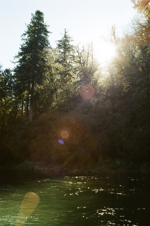 Steelheading on 35mm - 2 of 2Oregon2018