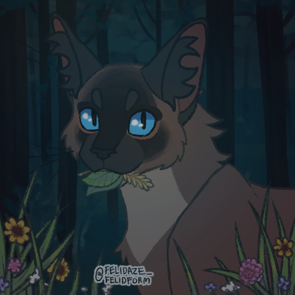 Two possibly new Warrior Cats OCs I made in Felidaze's cool cat creator on  Picrew. Name ideas? : r/WarriorCats