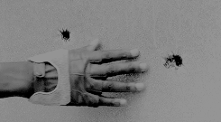 shadesofdixon:  We can find a way.                                And if we don’t…                                                            …I’m still with you. 