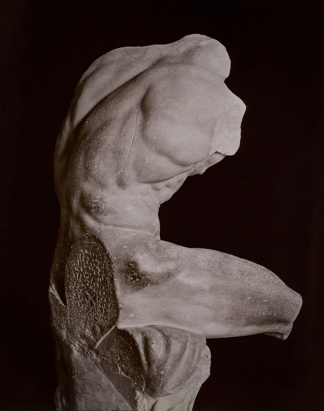 marmarinos:  Detail of the Belvedere Torso, likely a 1st century CE Roman copy of