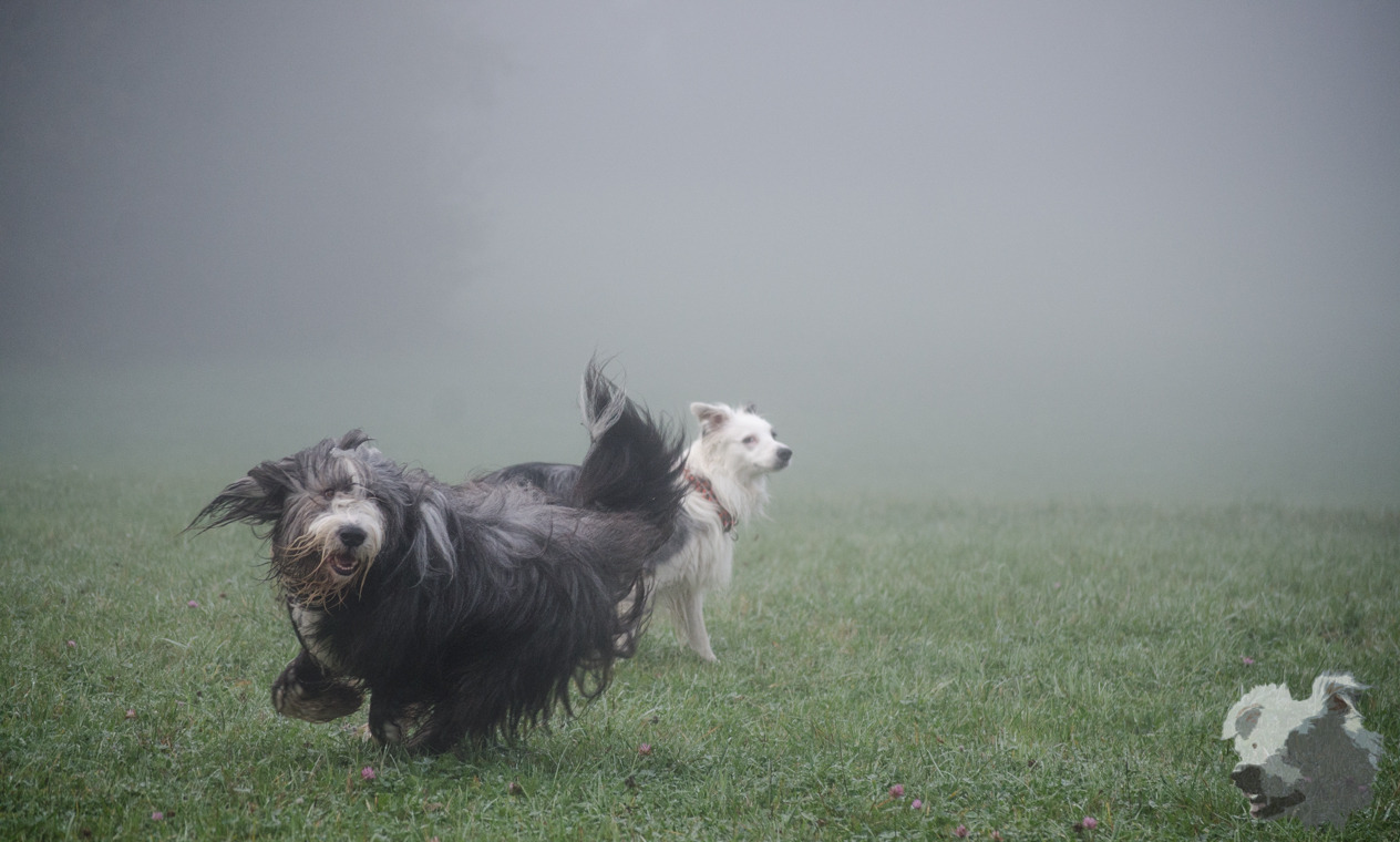cococool:  Coco &amp; Imko 