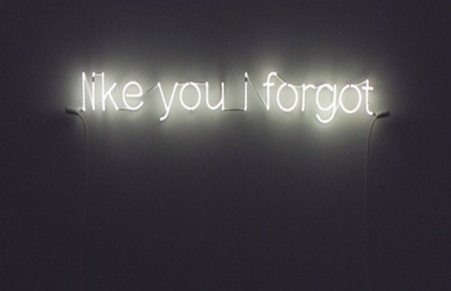 Neon Art (artist: Soledad Arias)