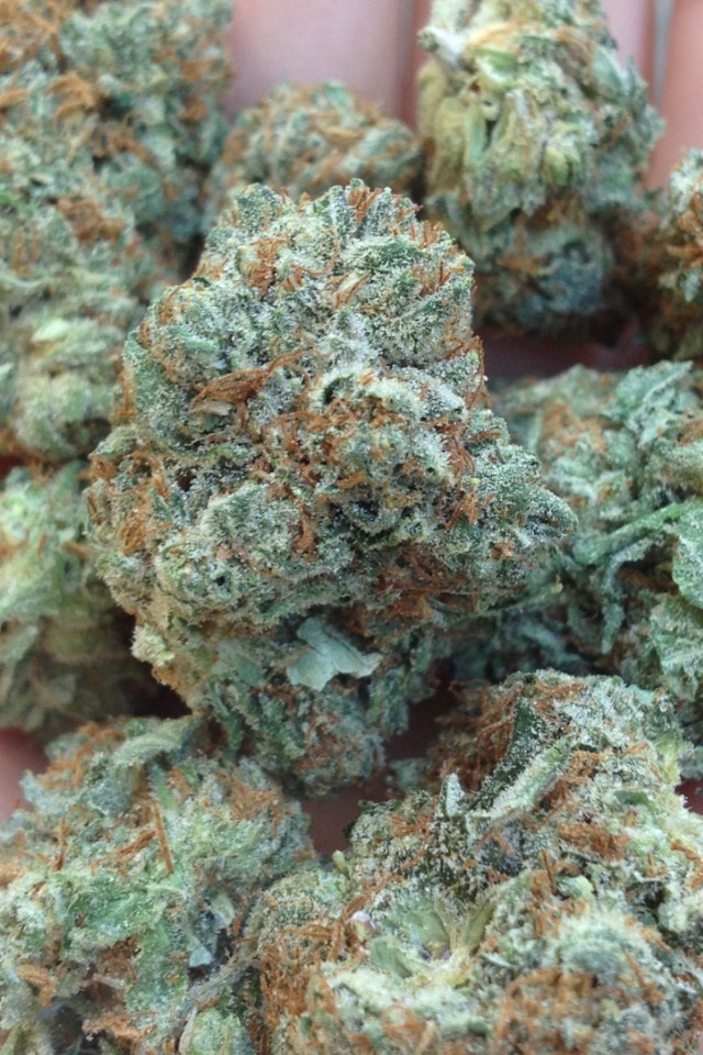 cannab1shh:  Sweet Nuggetry… 