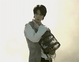 Parallels :: Seokjins Dove || Jungkook :: ON