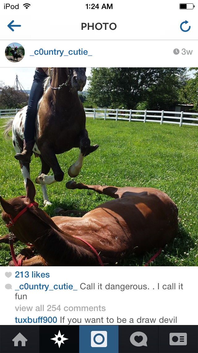 neverstopdreaming098:  GUYS!!! This “Natural horsemanship” person seems to have