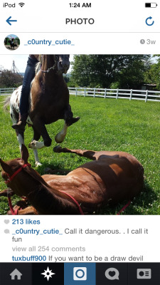 neverstopdreaming098:  GUYS!!! This “Natural horsemanship” person seems to have a habit of training her horses to rear (lots of pics of them rearing AT a human) or jumping over a tied down horse. Yes. Tied down. That horse looks like it does NOT want