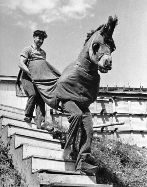 Alfred Eisenstaedt - Comedic horse act, Greenbrier Valley Fair, W. Virginia, 1938.