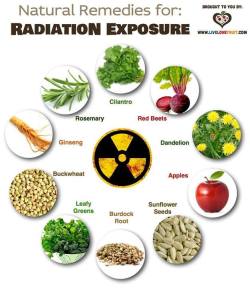 foodfoodfoody:  Natural remedies for radiation